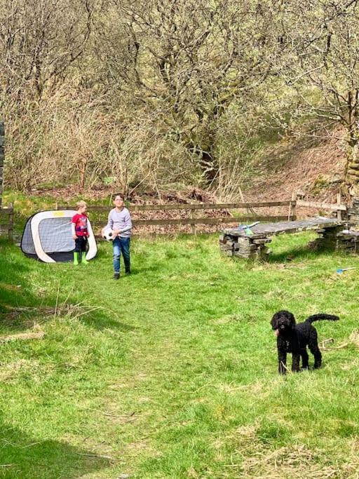 Holiday home Yr Hen Siop - 4 Bed Welsh In Snowdonia